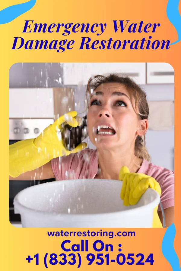 Emergency Water Damage Restoration in Kimballton, IA